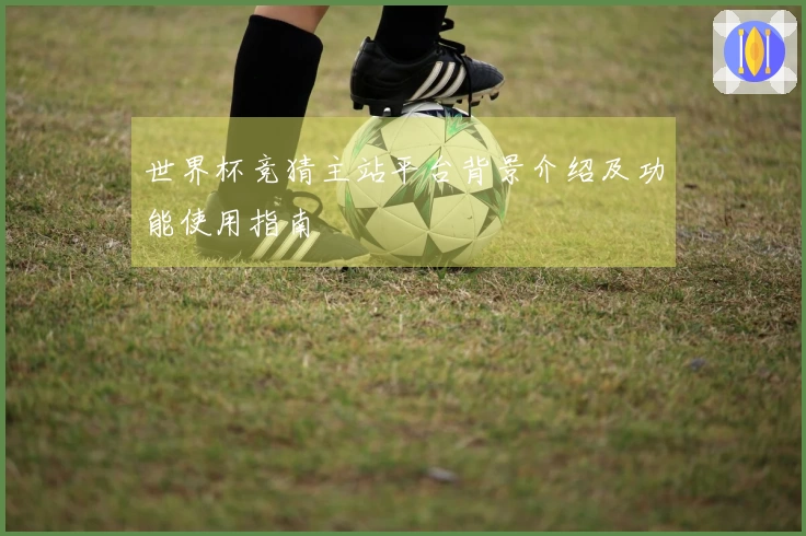 世界杯竞猜主站平台背景介绍及功能使用指南