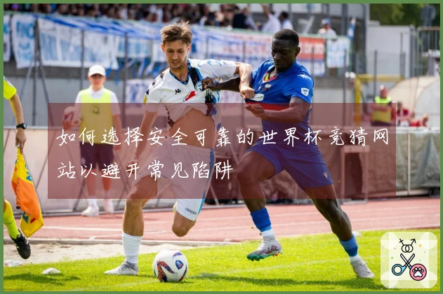 如何选择安全可靠的世界杯竞猜网站以避开常见陷阱