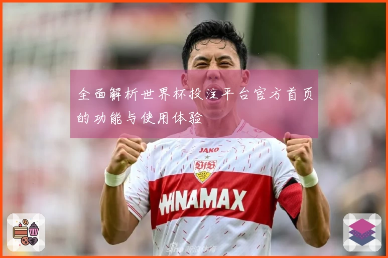 全面解析世界杯投注平台官方首页的功能与使用体验