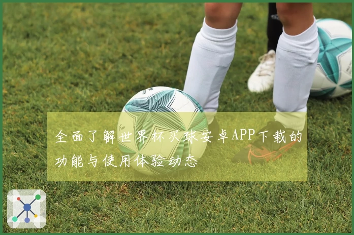 全面了解世界杯买球安卓APP下载的功能与使用体验动态