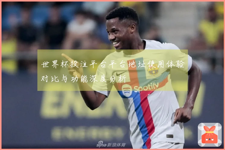 世界杯投注平台平台地址使用体验对比与功能深度分析