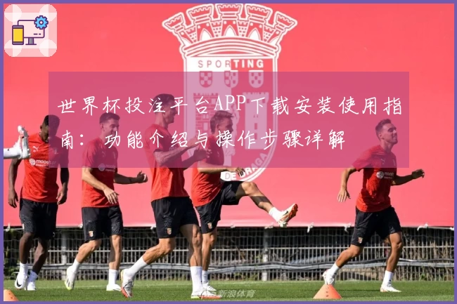 世界杯投注平台APP下载安装使用指南：功能介绍与操作步骤详解