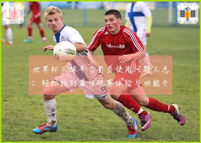 世界杯买球平台首页使用问题汇总:轻松找到最佳观赛体验与功能介绍
