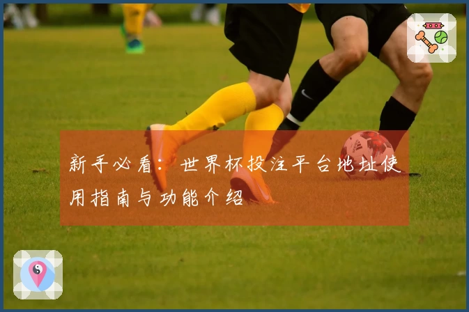 新手必看：世界杯投注平台地址使用指南与功能介绍