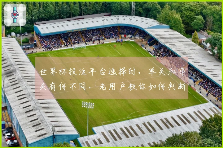 世界杯投注平台选择时,单关和串关有何不同,老用户教你如何判断合适平台