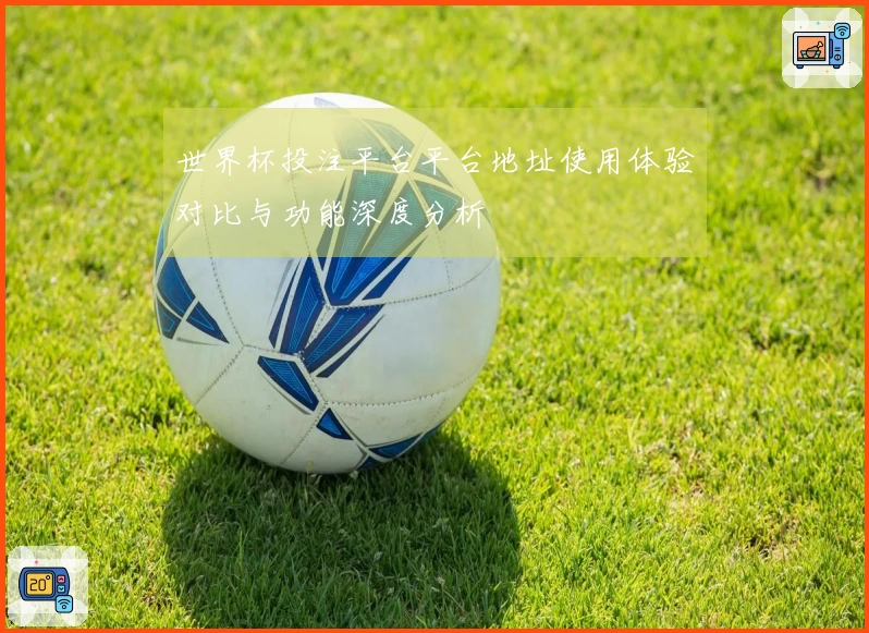 世界杯投注平台平台地址使用体验对比与功能深度分析