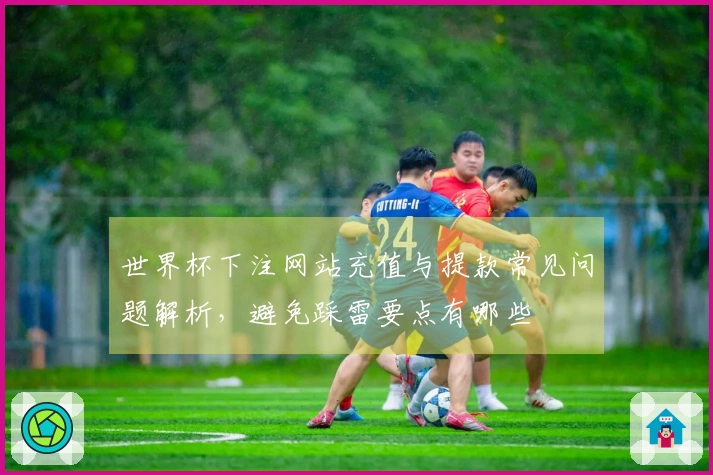 世界杯下注网站充值与提款常见问题解析,避免踩雷要点有哪些