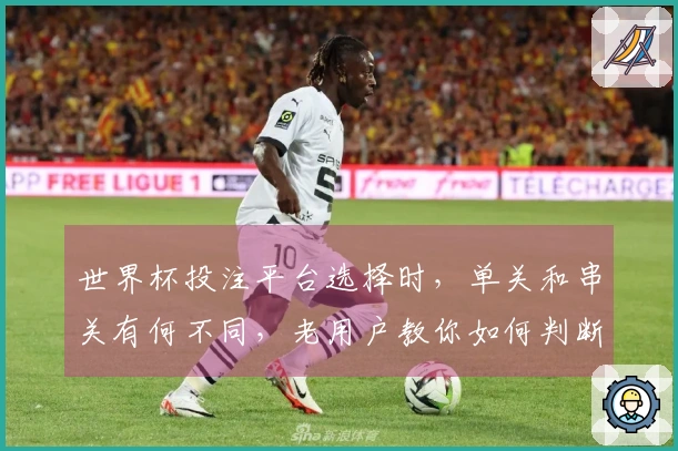 世界杯投注平台选择时，单关和串关有何不同，老用户教你如何判断合适平台
